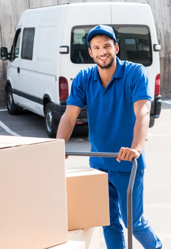 mover box load in trolley