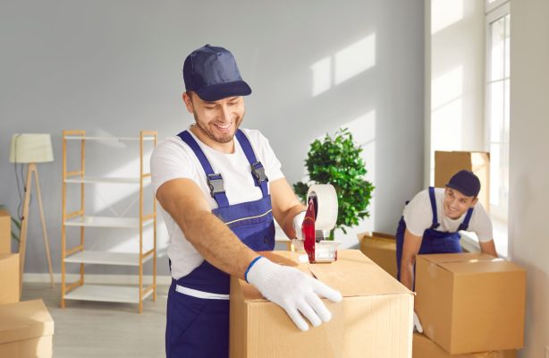  Packers and Movers Discovery Gardens